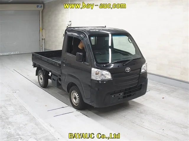 Toyota Pixis Truck S500U 2019